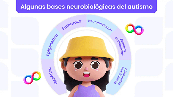 Gráfica sobre bases neurobiológicas del autismo con una mujer al centro, donde se encuentra genética, epigenética, embarazo, neuroanatomía, factores ambientales y diferencias funcionales.
